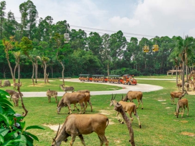 Chimelong Safari Park