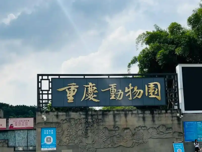 Chongqing Zoo