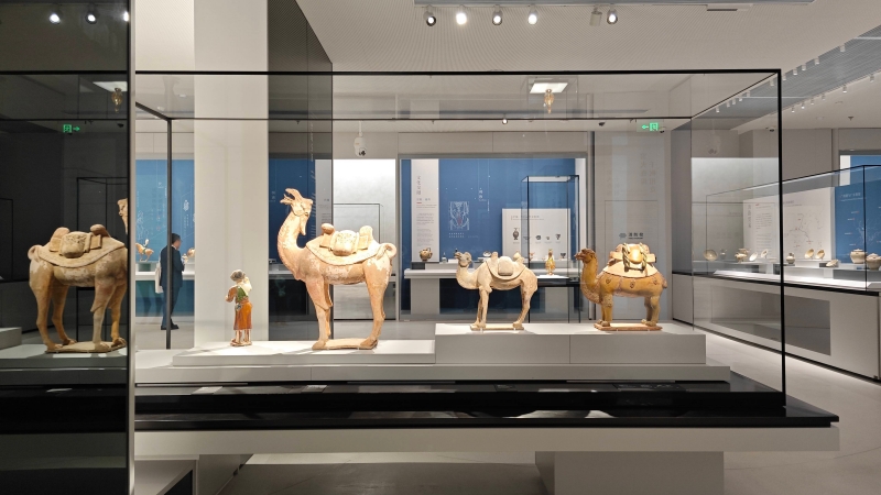 shanghai museum