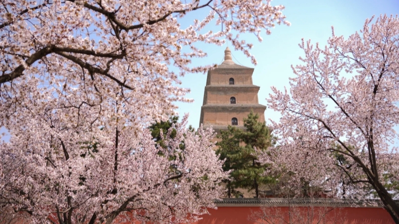 Xian tour