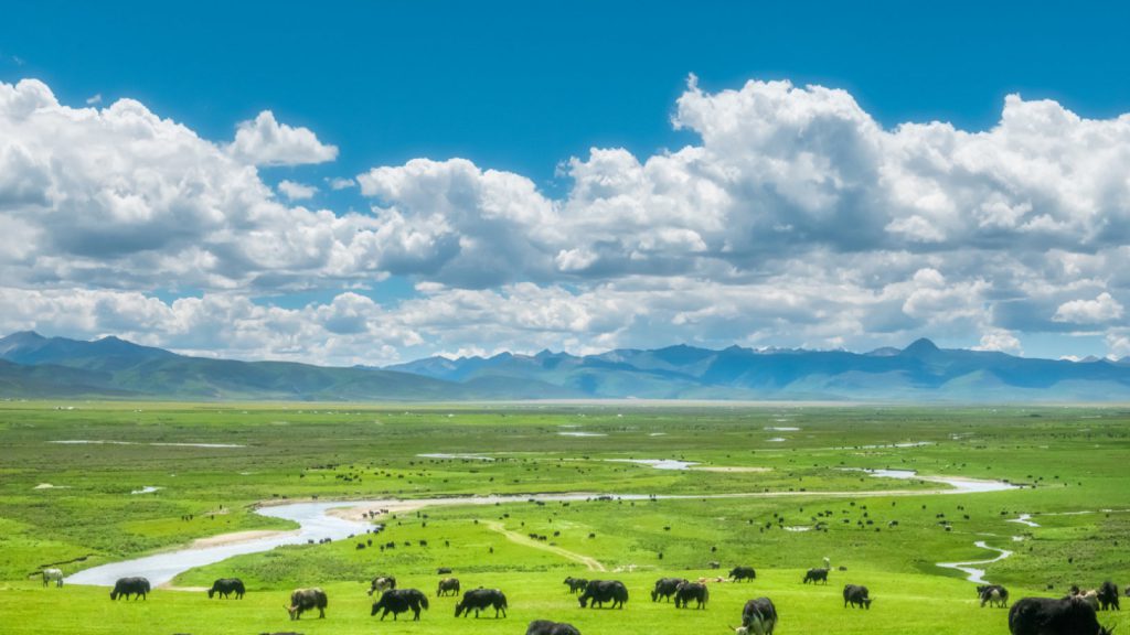 Suitable Summer Destinations in China for Group Tours