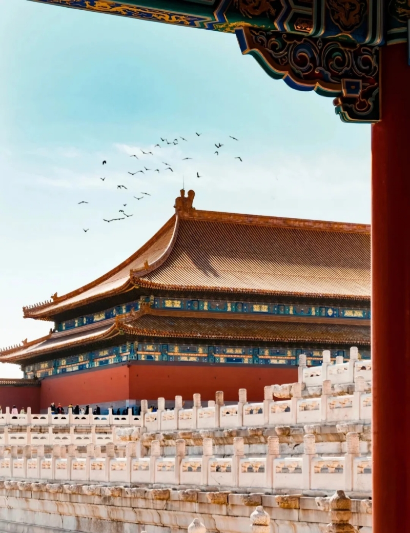 Support for Institutional & Group Travel