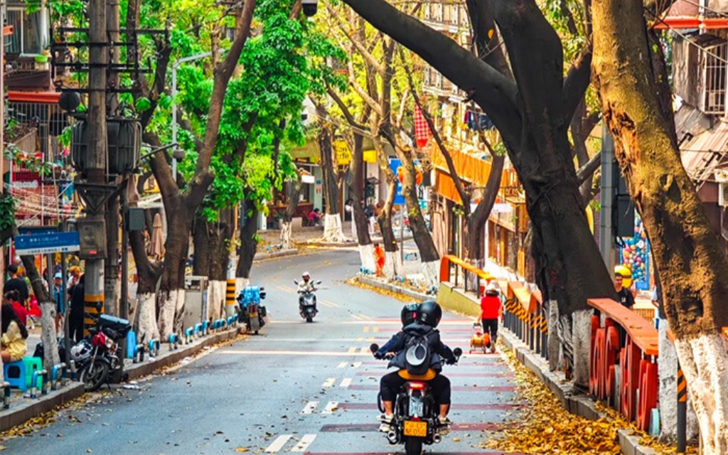 Chongqing in Autumn