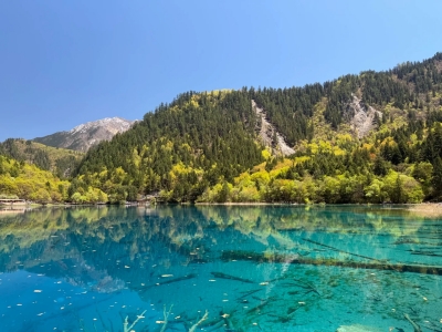Five Flower Lake