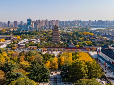 Giant Wild Goose Pagoda