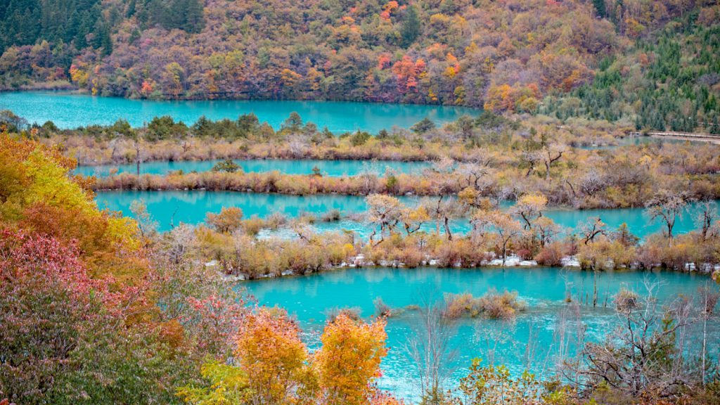 5-Day Chengdu Panda & Jiuzhaigou Tour