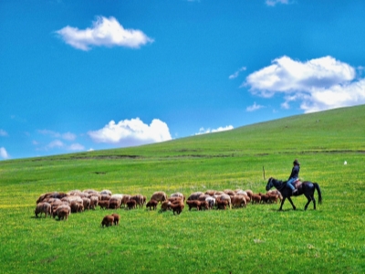 Kalajun Grassland