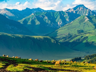Nalati Grassland
