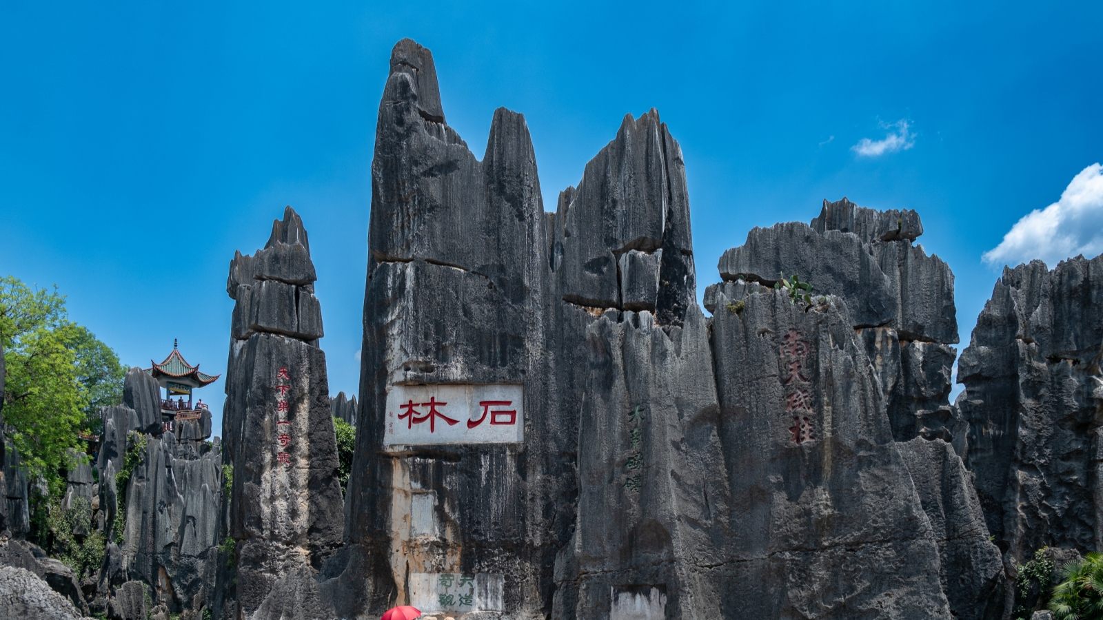 Stone Forest