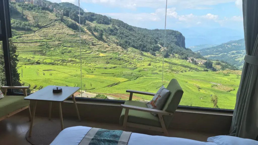 Terrace-view room