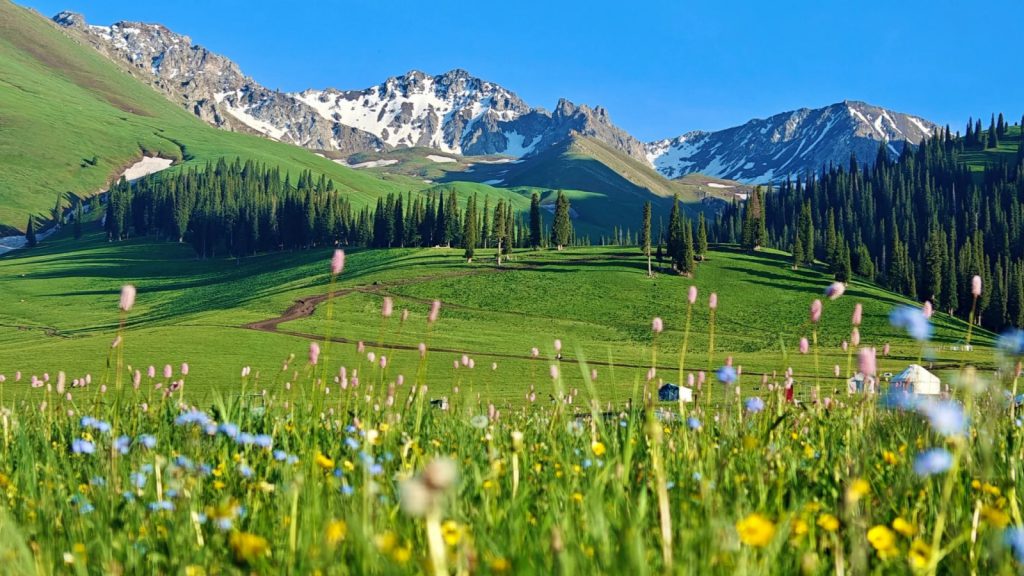 13-Day Classic Northern Xinjiang Adventure