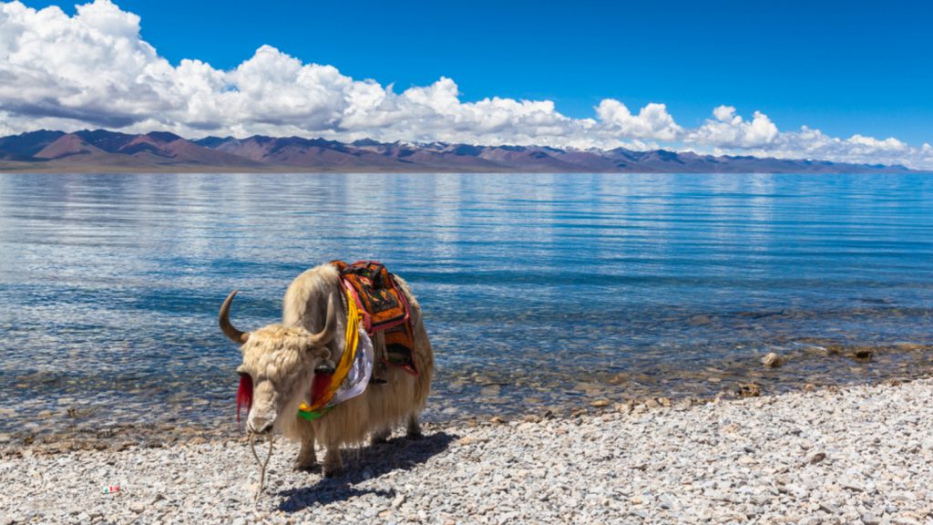 Best Time to Visit Tibet: Weather, Scenery & Festivals