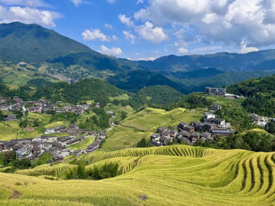 14-Day China Cultural and Historical Immerse—Longji Rice Terraces