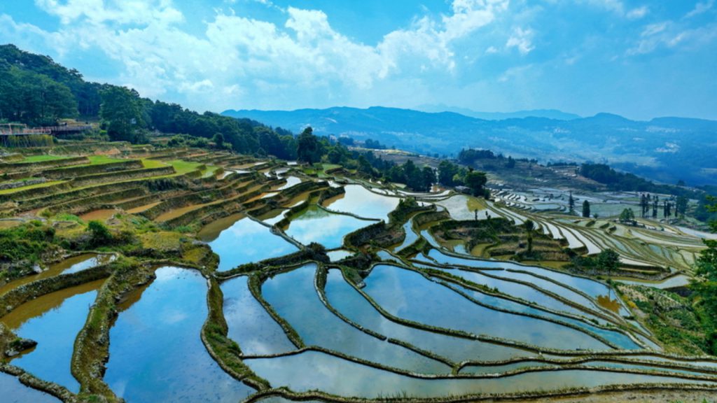 Yuanyang Rice Terraces