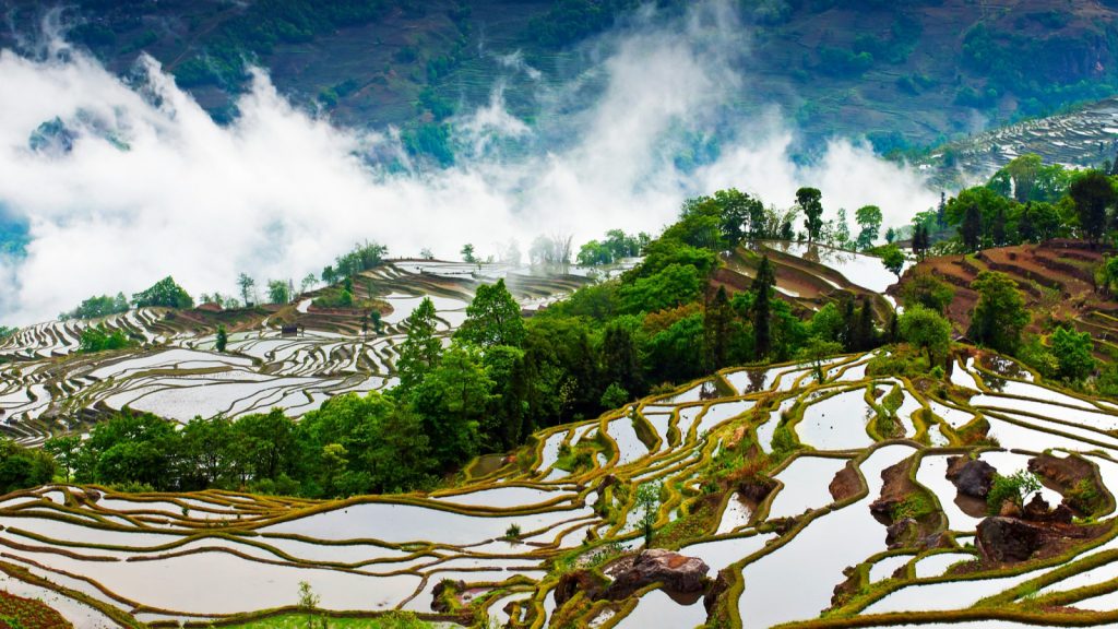Yuanyang Travel Guide: Hani Culture, Terraces & Travel Tips