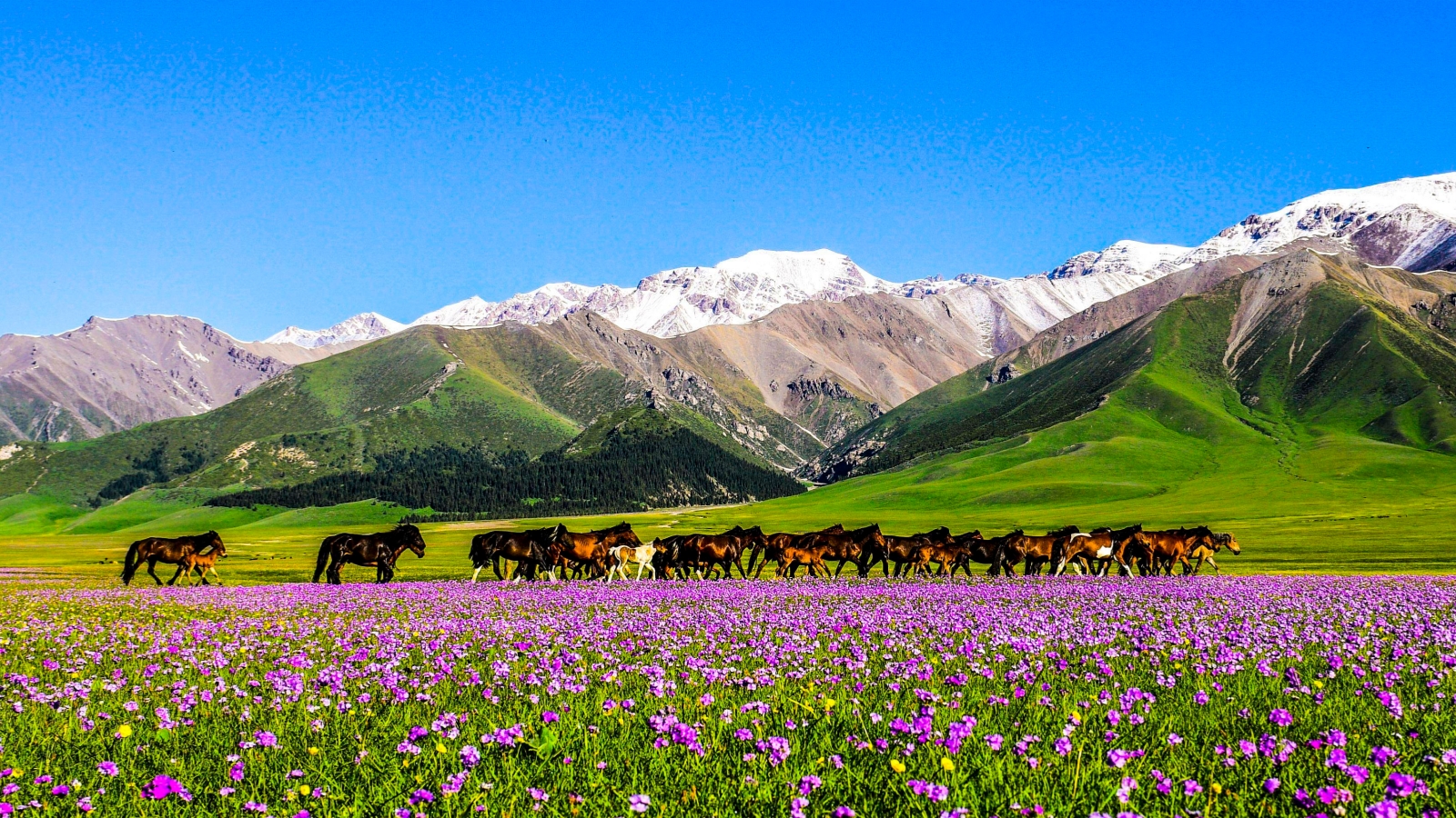 Xinjiang