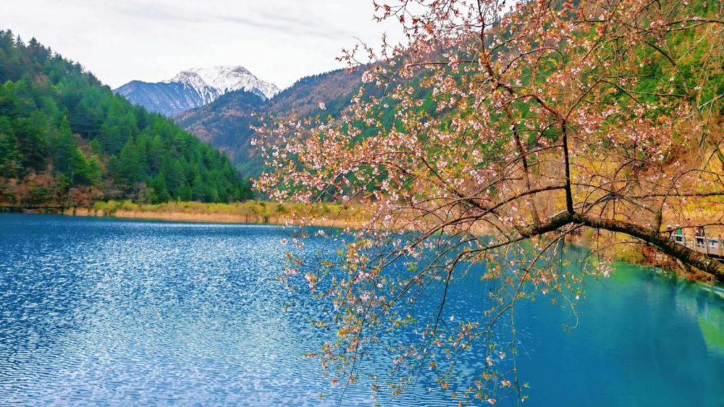 Jiuzhaigou Valley in Spring