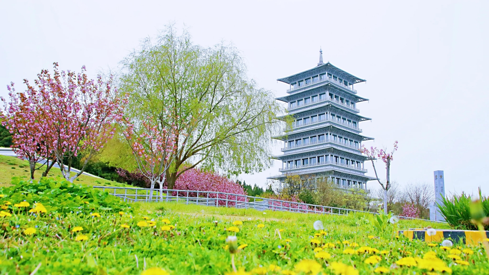 3-Day Xi'an Ancient Capital Discovery Tour