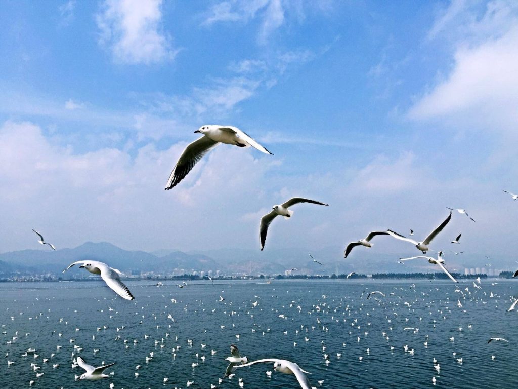 Dianchi Lake, Kunming